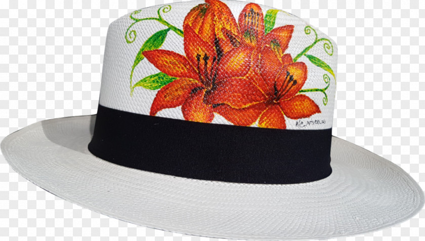 Hat Panama Cape Sugarbird PNG