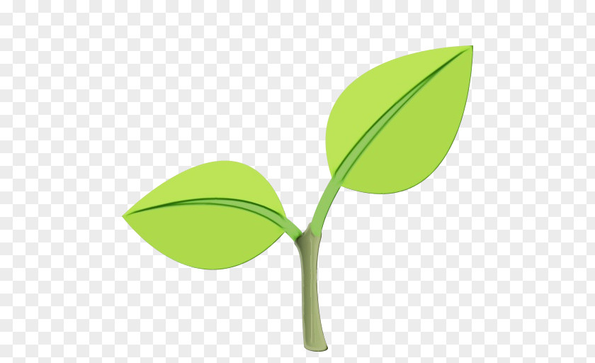 Leaf Plant Stem Green Line Font PNG