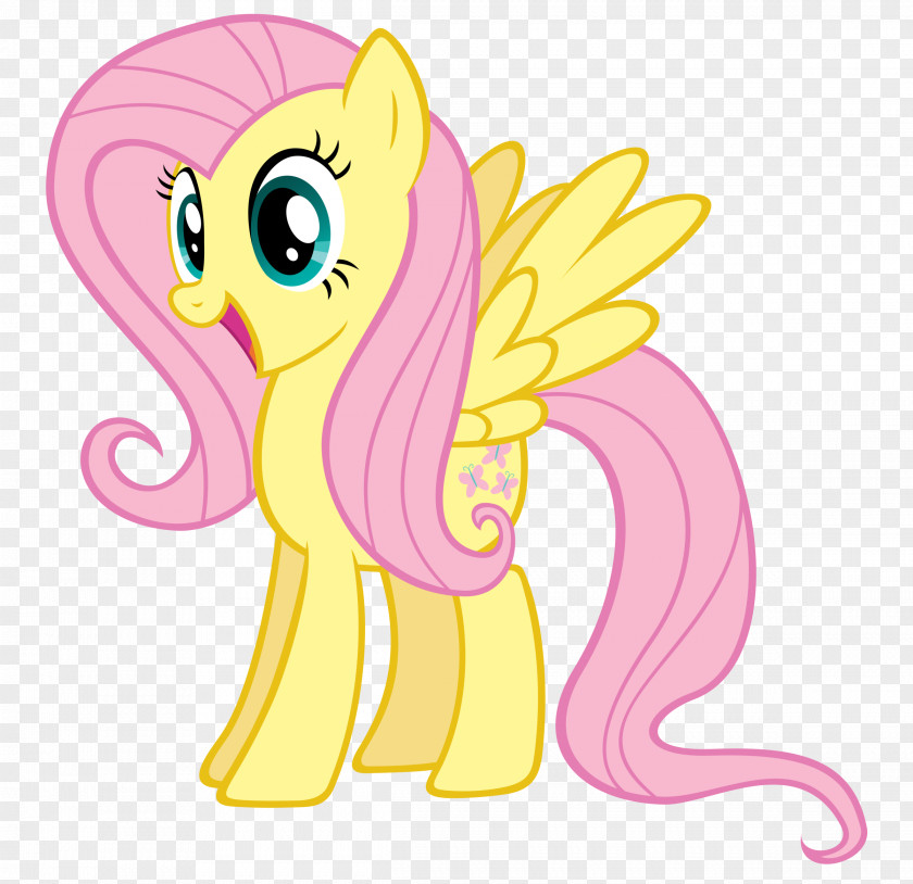 My Little Pony Fluttershy Pinkie Pie Rainbow Dash Twilight Sparkle PNG