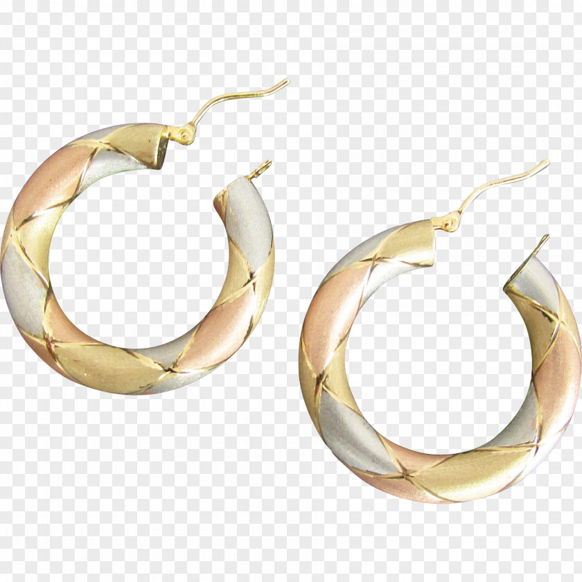 Silver Earring Body Jewellery PNG