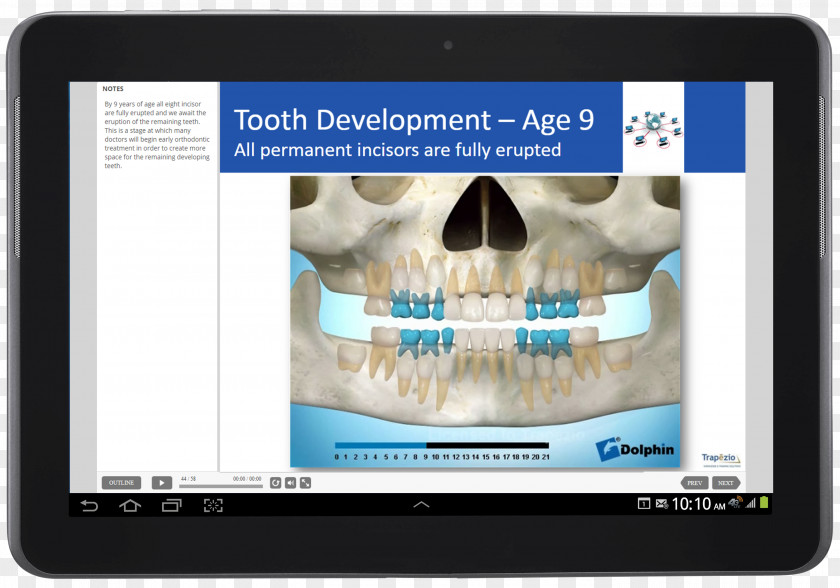 Academy Of Orthodontic Assisting Jaw Dentistry American Association OrthodontistsOthers Orthodontics Trapezio PNG