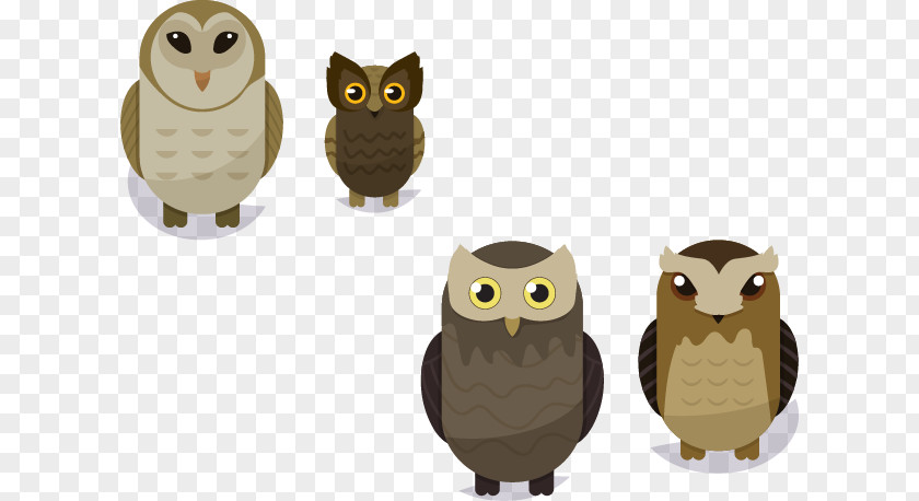 4 Owl Vector Material The Tree Bird PNG