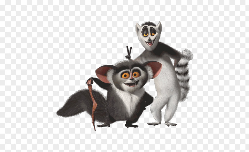 Animation Ring-tailed Lemur Julien Madagascar Film PNG