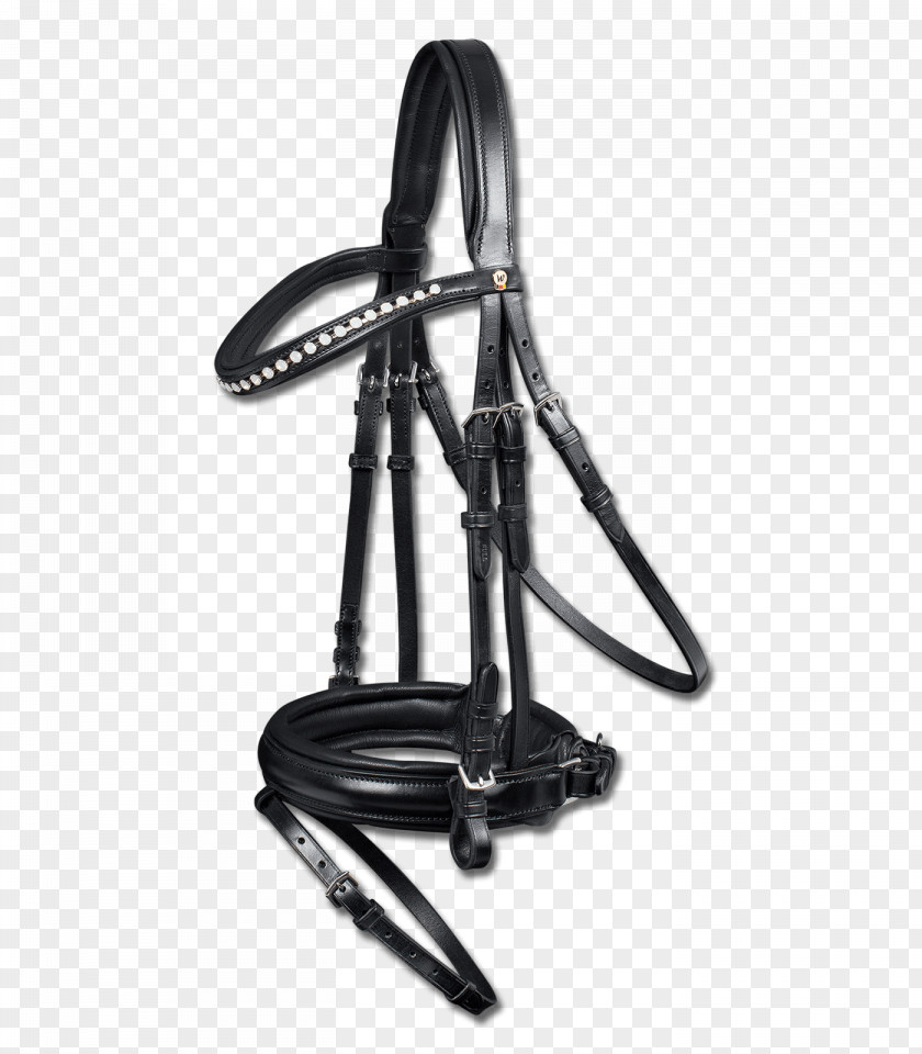 Bit Bridle Filet Noseband Equestrian PNG