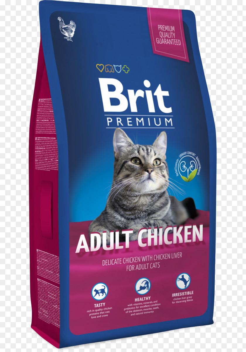 Cat Food Fodder Dog Chicken PNG