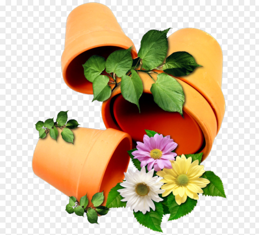 Flower Flowerpot Rose Clip Art PNG