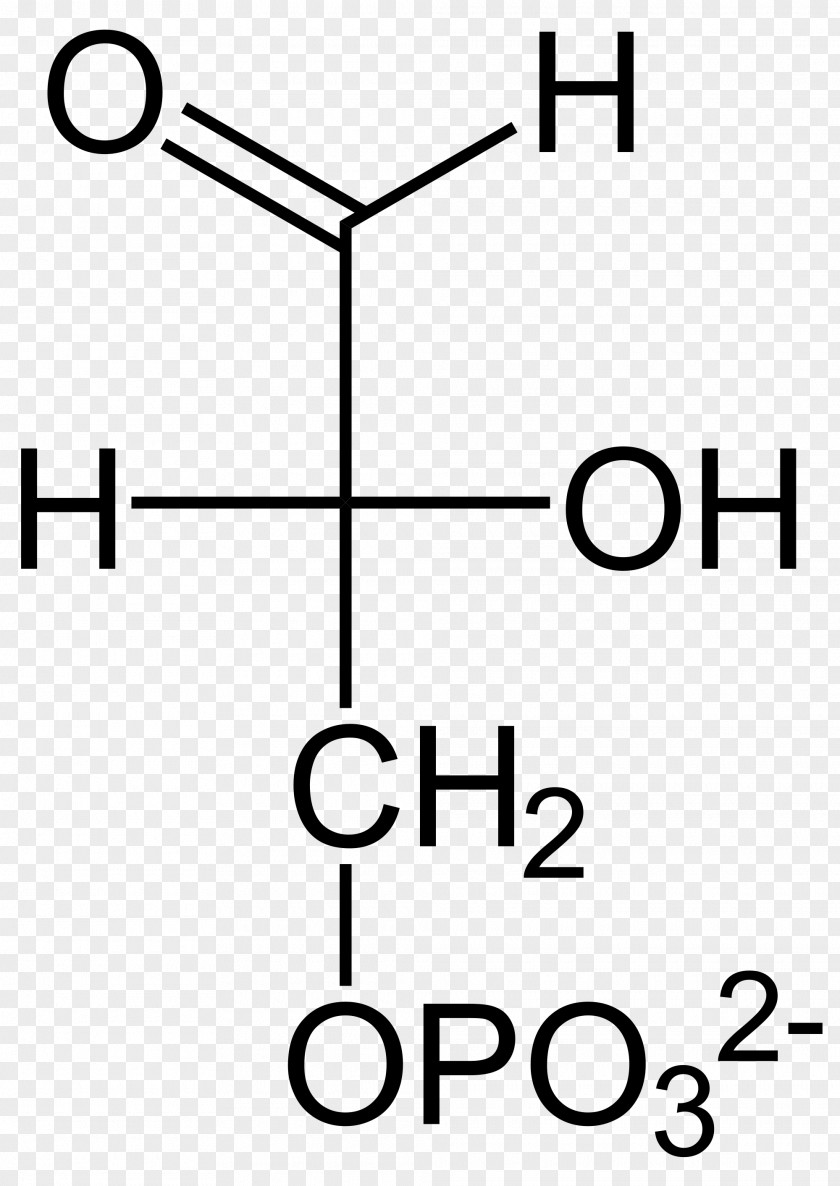 Handy Man Pyruvic Acid Biochemistry Gluconic Monosaccharide PNG