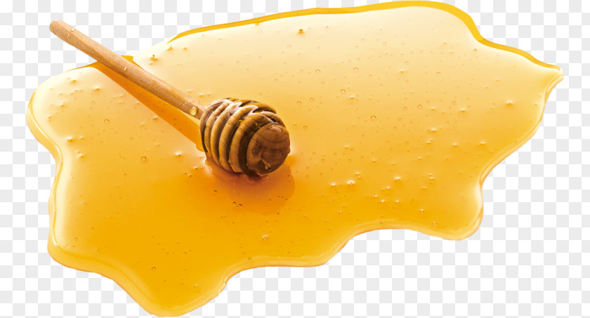 Honey Clip Art Image PNG