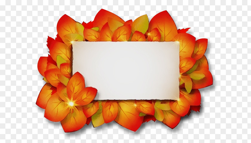 Rectangle Plant Flowers Background PNG