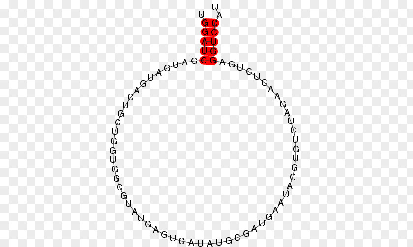 Small Nucleolar Rna Snord50 Scouting For Boys World Scout Emblem Boy Scouts Of America Cub PNG