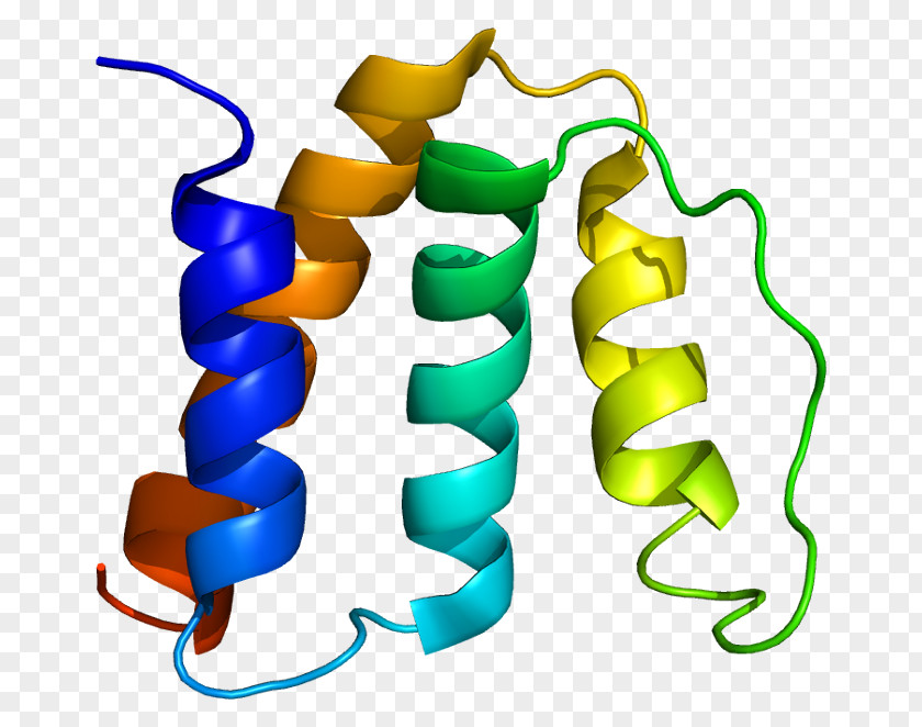 Adenosine Diphosphate Receptor Inhibitor Diazepam Binding Acyl-CoA-binding Protein Amino Acid PNG