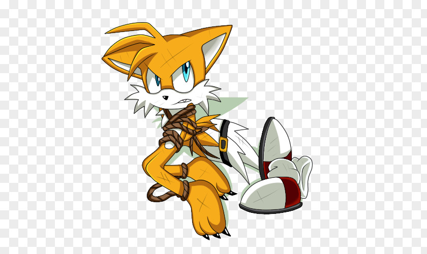Cat Tails Sonic The Hedgehog Knuckles Echidna Shadow PNG