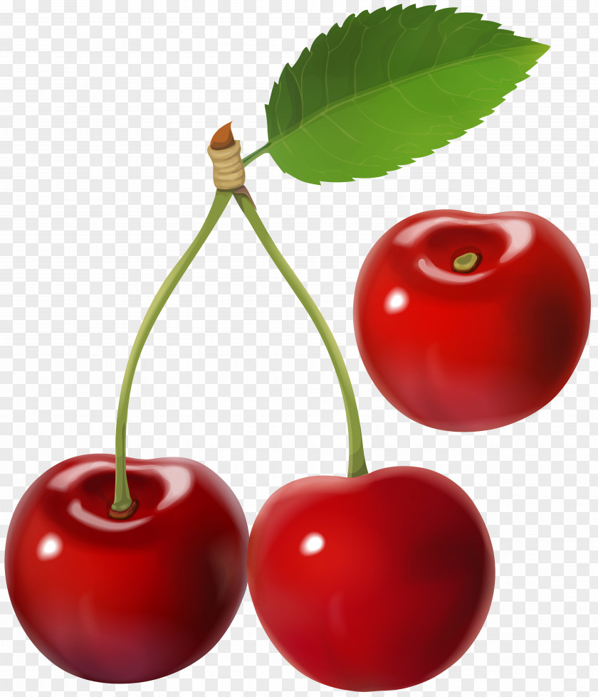 Cerry Barbados Cherry Clip Art PNG