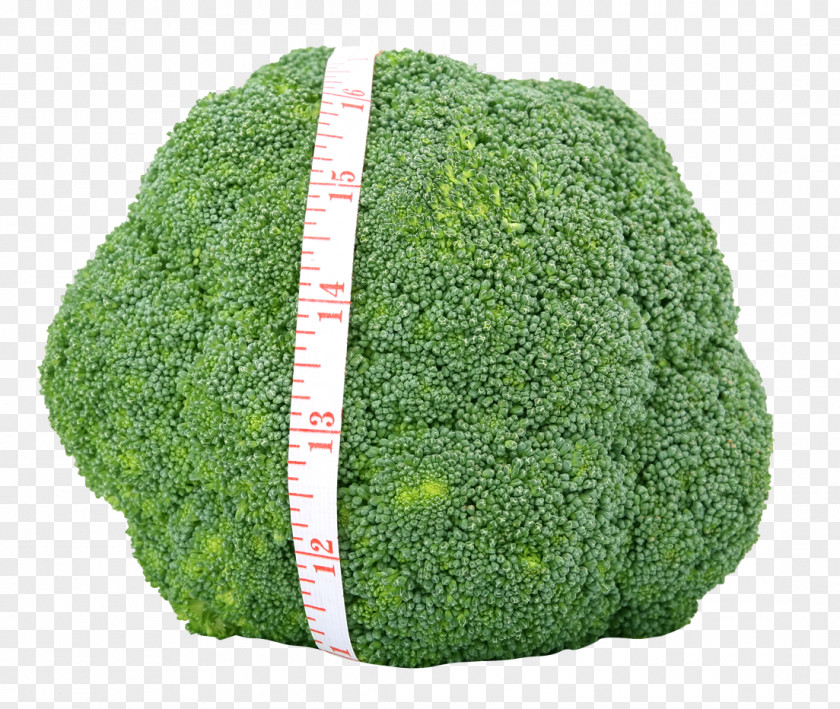 Fresh Green Broccoli Vegetable Appetite Food Cauliflower PNG