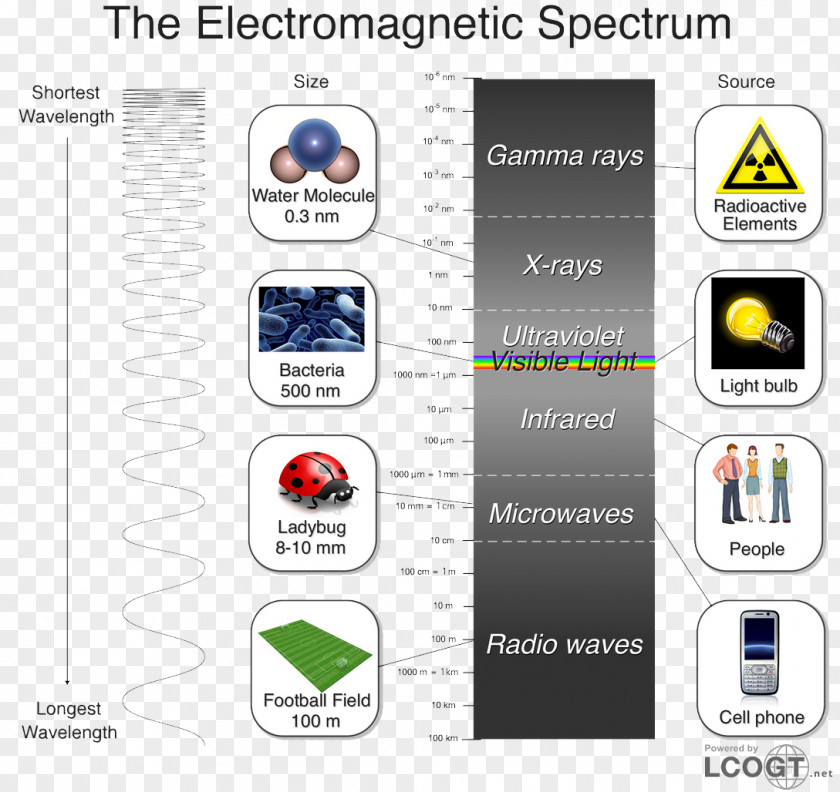 Light Electromagnetic Spectrum Infrared Wavelength Ultraviolet PNG