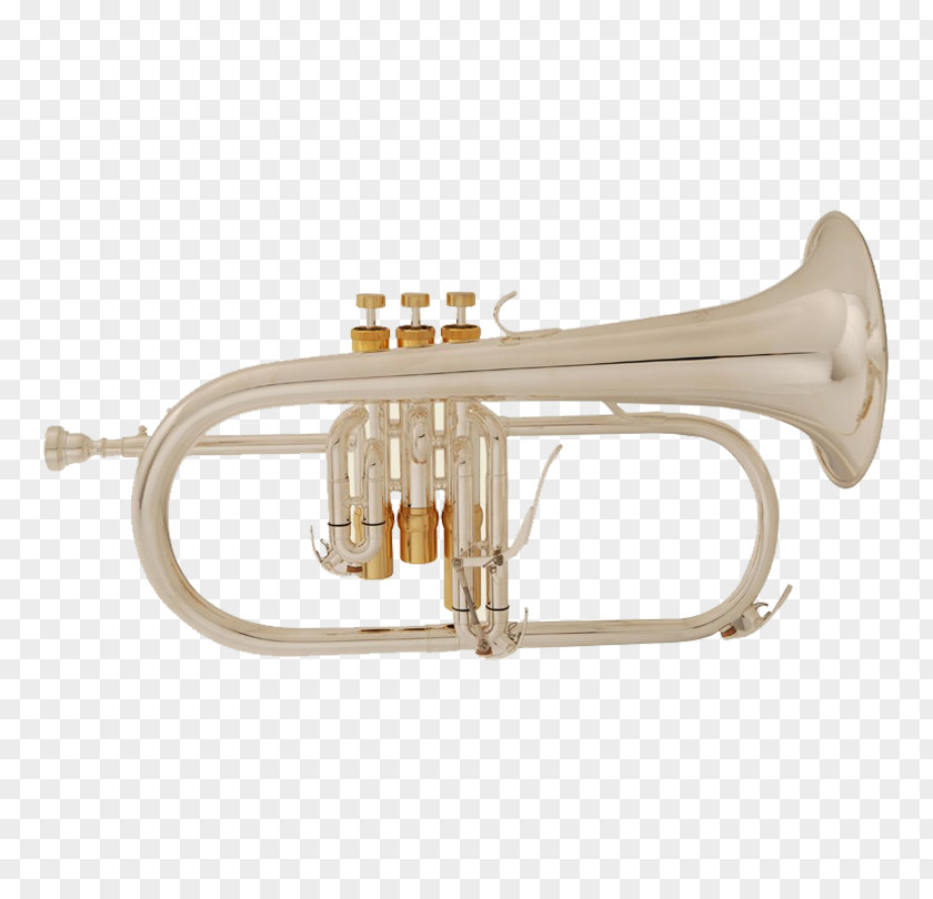 Trumpet Cornet Flugelhorn Tenor Horn Mellophone PNG