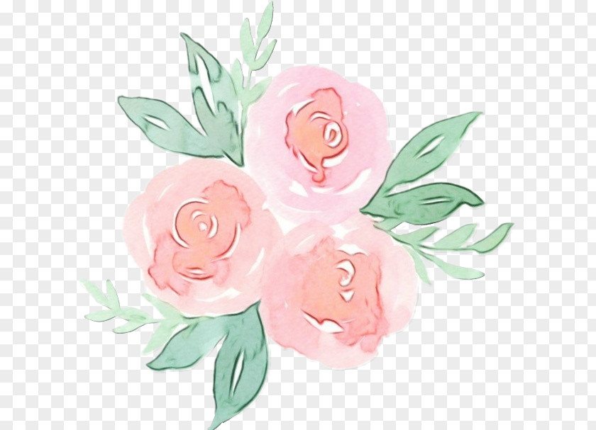 Art Flowering Plant Watercolor Pink Flowers PNG