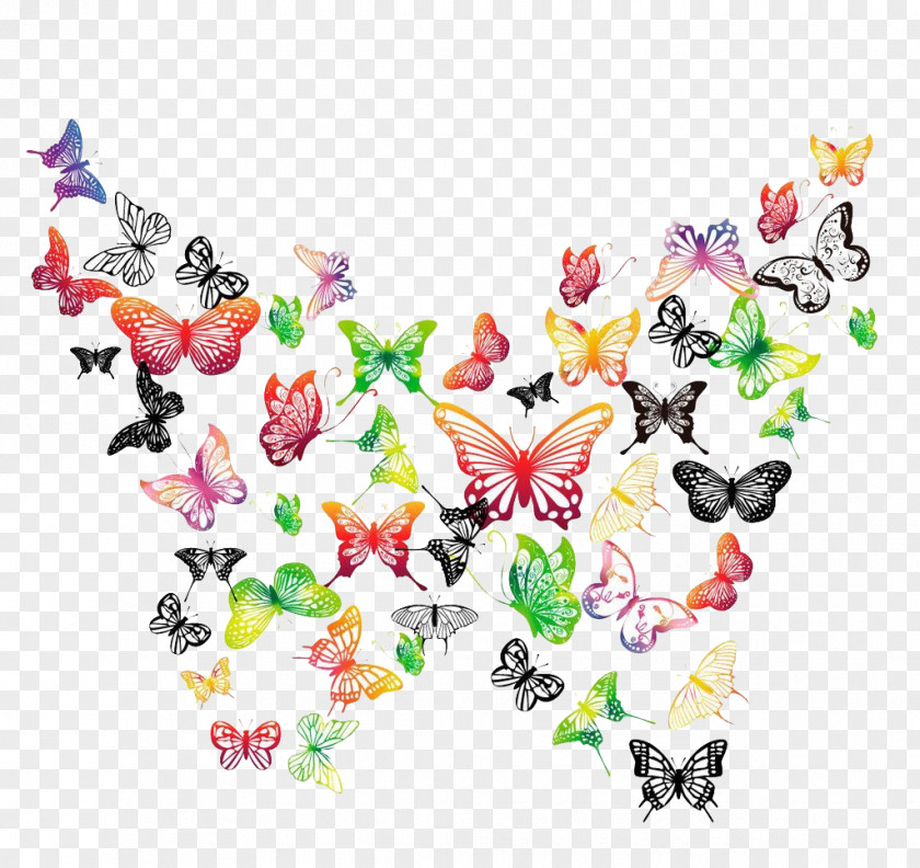 Colorful Butterfly Pillow Amazon.com Couch Color PNG
