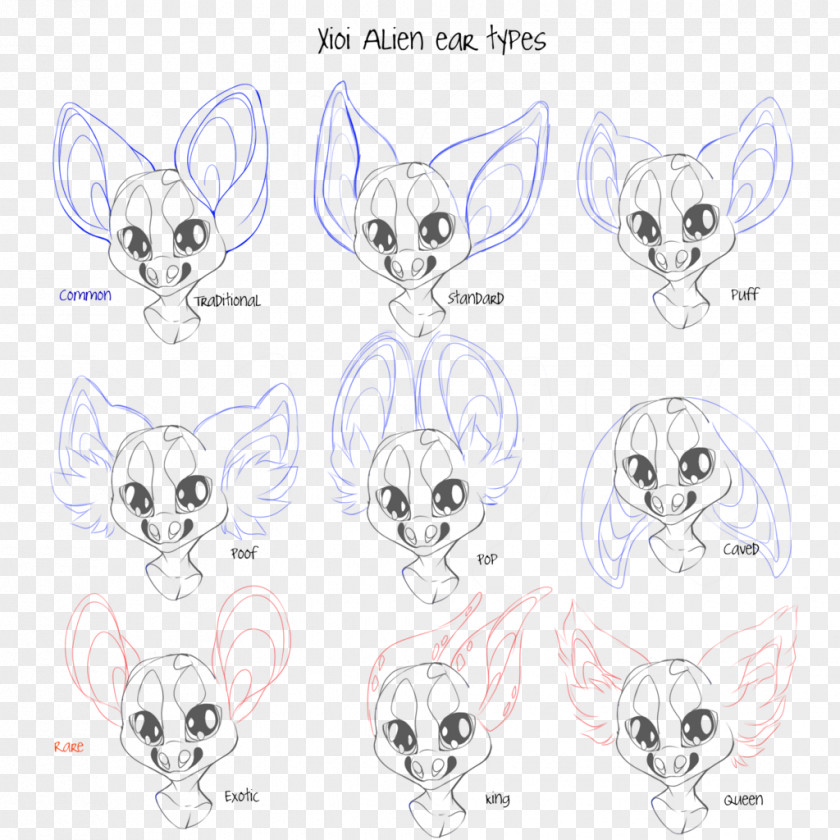 Ear Whiskers Drawing Art Sketch PNG