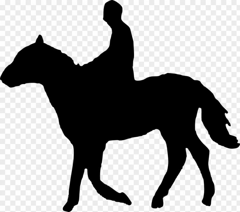 Horse Riding Stallion Equestrian Eventing Clip Art PNG