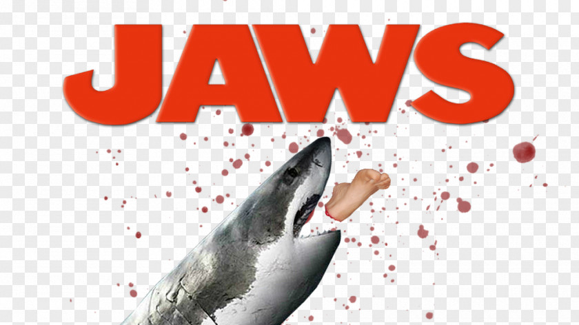 Jaws Martin Brody Film Poster Cinema PNG