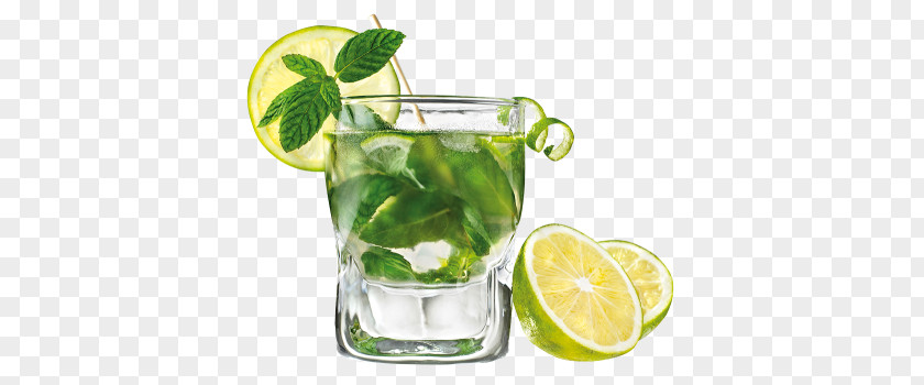 Mojito Cocktail Carbonated Water Rickey PNG