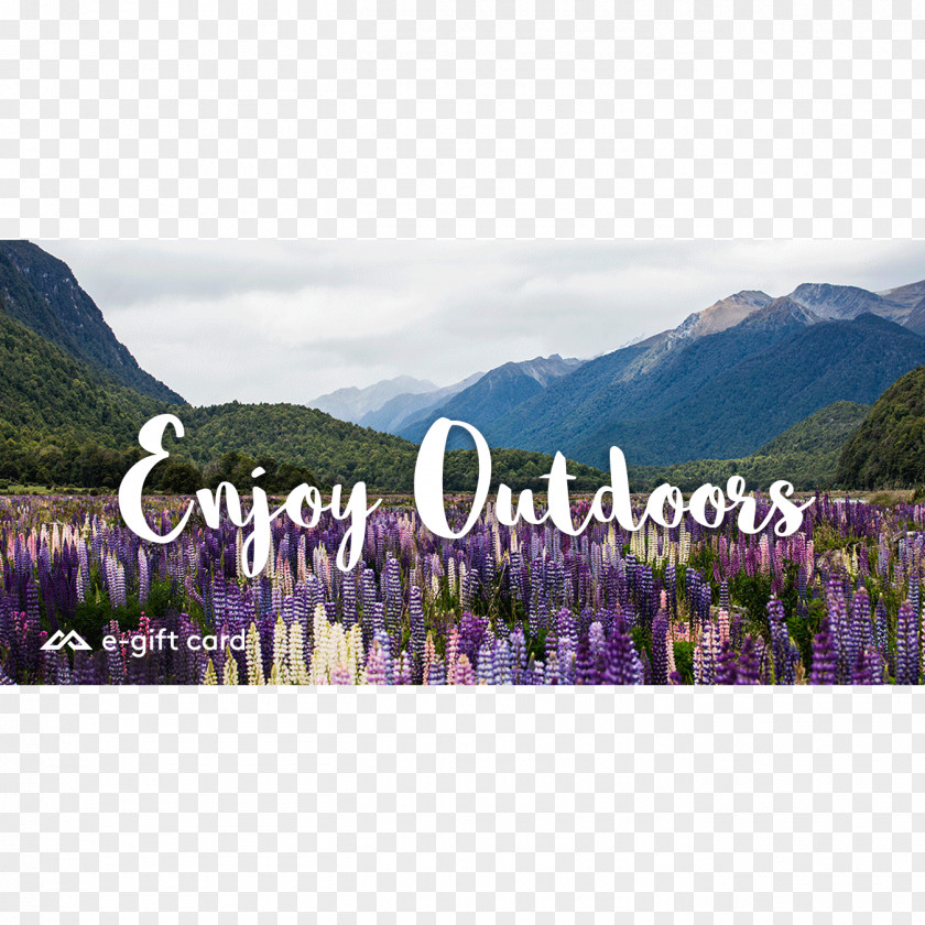 Outdoors Gift Card Coupon Online Shopping Kathmandu PNG