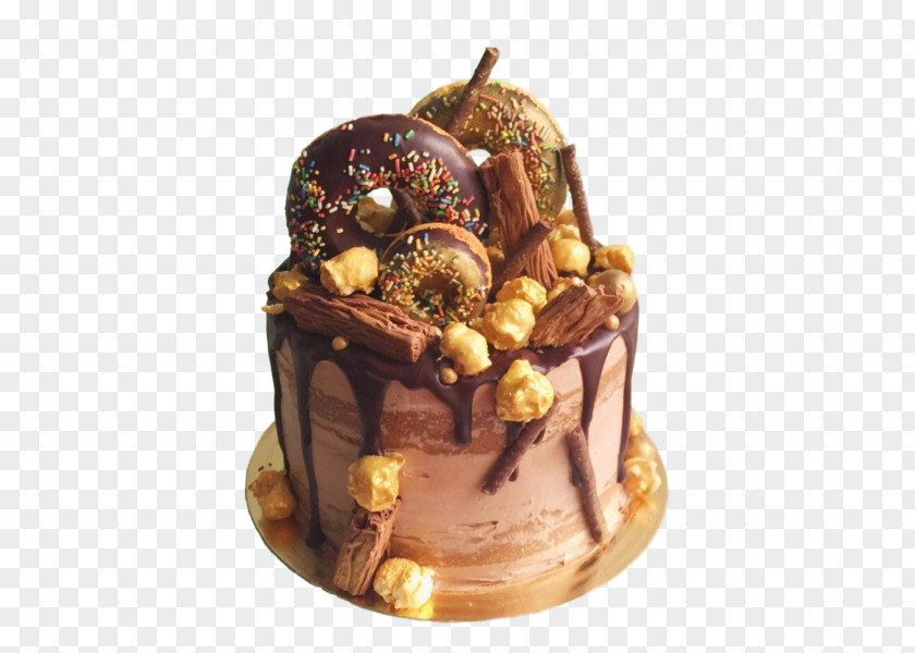 Chocolate Cake Yule Log Christmas Praline PNG