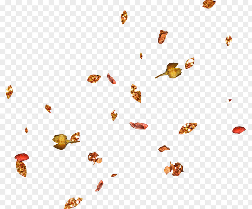 Falling Leaves Pictures Leaf Autumn Clip Art PNG