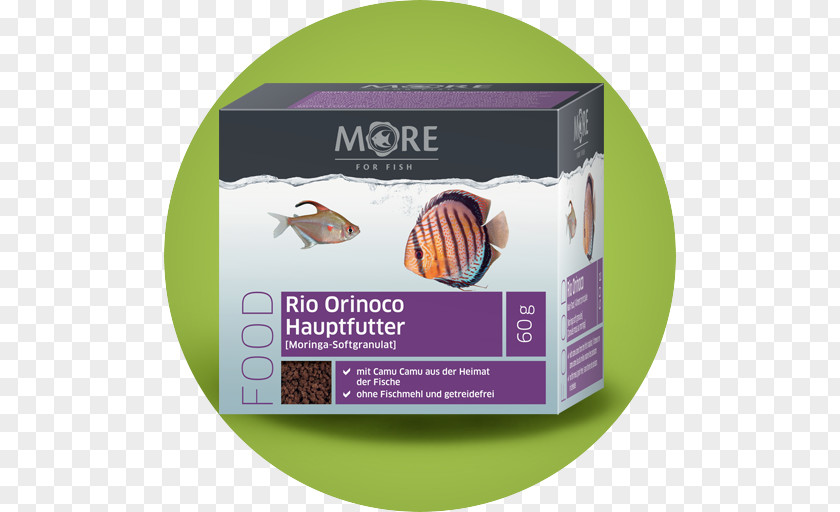 Fish Aquarium Feed Food Orinoco PNG