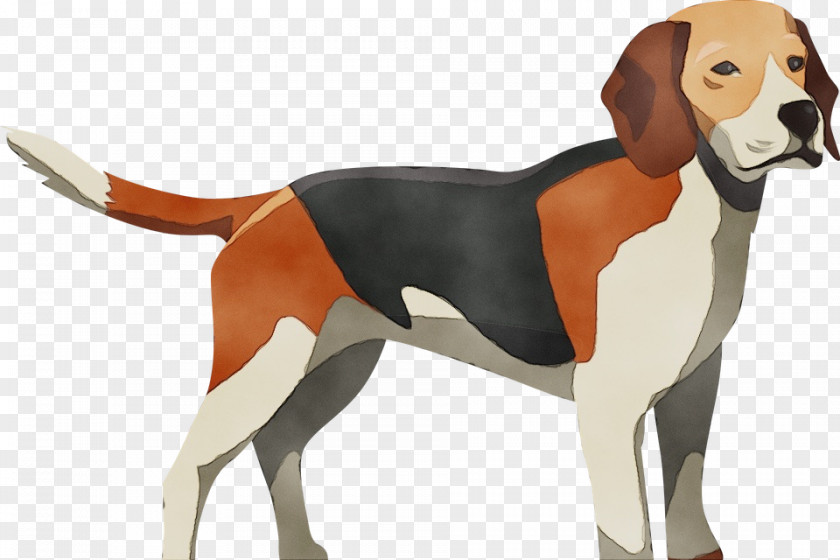Harrier American Foxhound Dog Breed Beagle-harrier English PNG