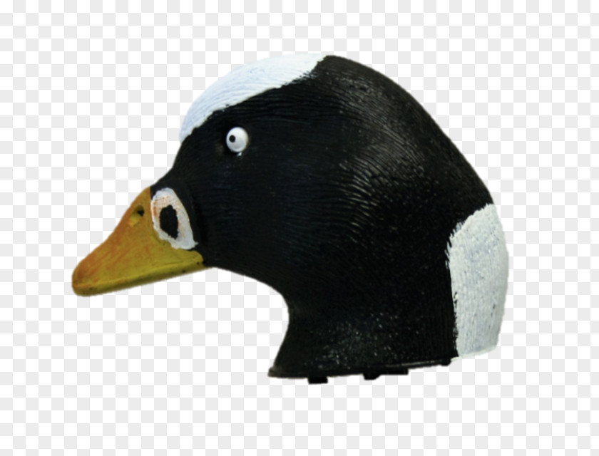 Jemima Puddle Duck Decoy Goose Mallard PNG