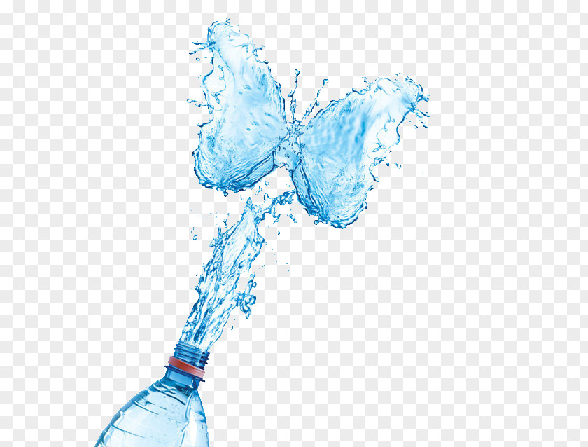 Butterfly Mineral Water Purified Bottle Illustration PNG