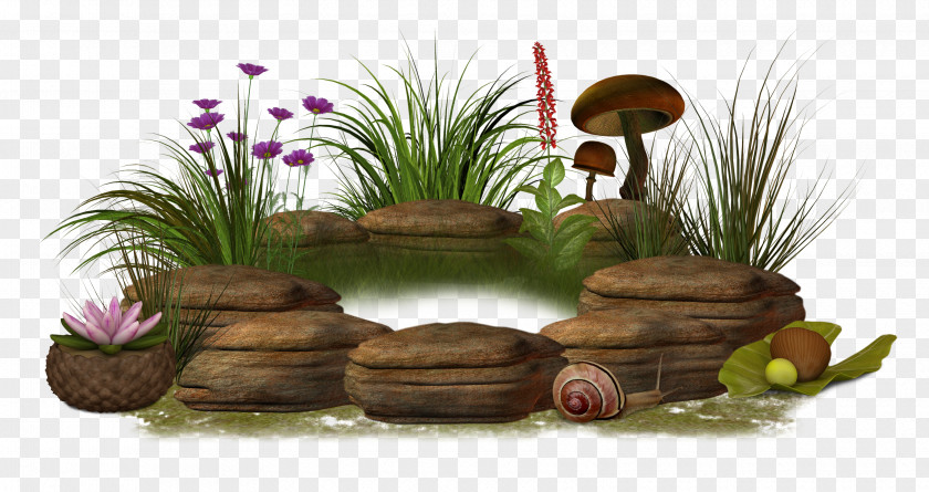 Stone Pond Landscape Mushroom Clip Art PNG