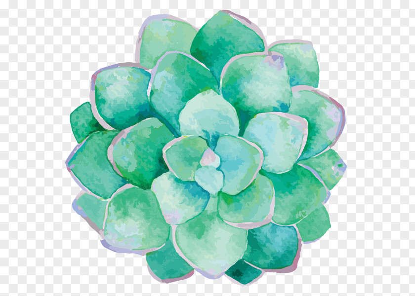 Succulents Taobao Spoonflower Watercolor Painting Person Wedding PNG