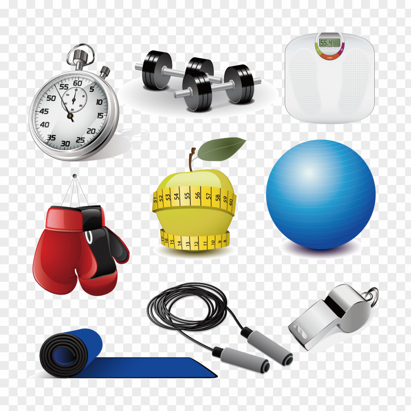 Vector Fitness Supplies Exercise Equipment Physical Sports Dumbbell Clip Art PNG