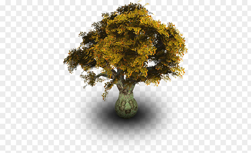 Arbol Tree PNG
