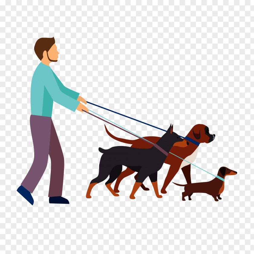 Canis Familiaris Puppy Dog Breed Leash Vector Graphics PNG