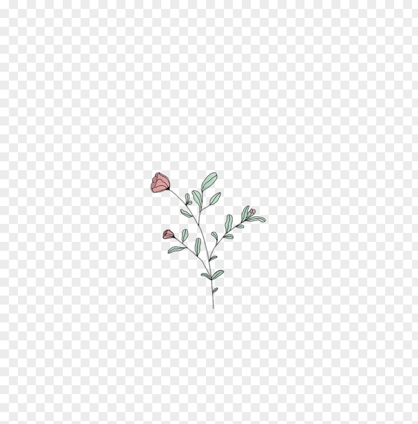 Flower Crown Transparent Desktop Wallpaper Lock Screen Image Drawing Video PNG