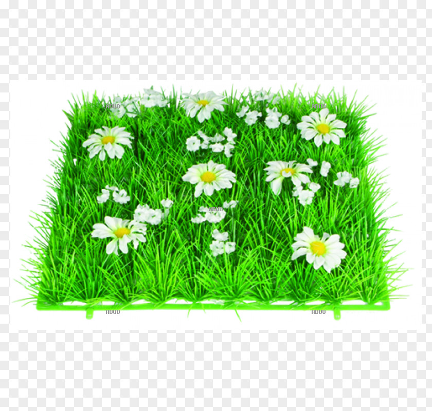 Grass Lawn Artificial Turf Grasmatte Groundcover PNG