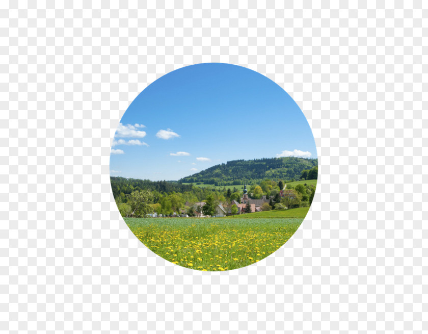 Black Forest Germany Württemberg Moosbronn Heimat Spa Meadow PNG