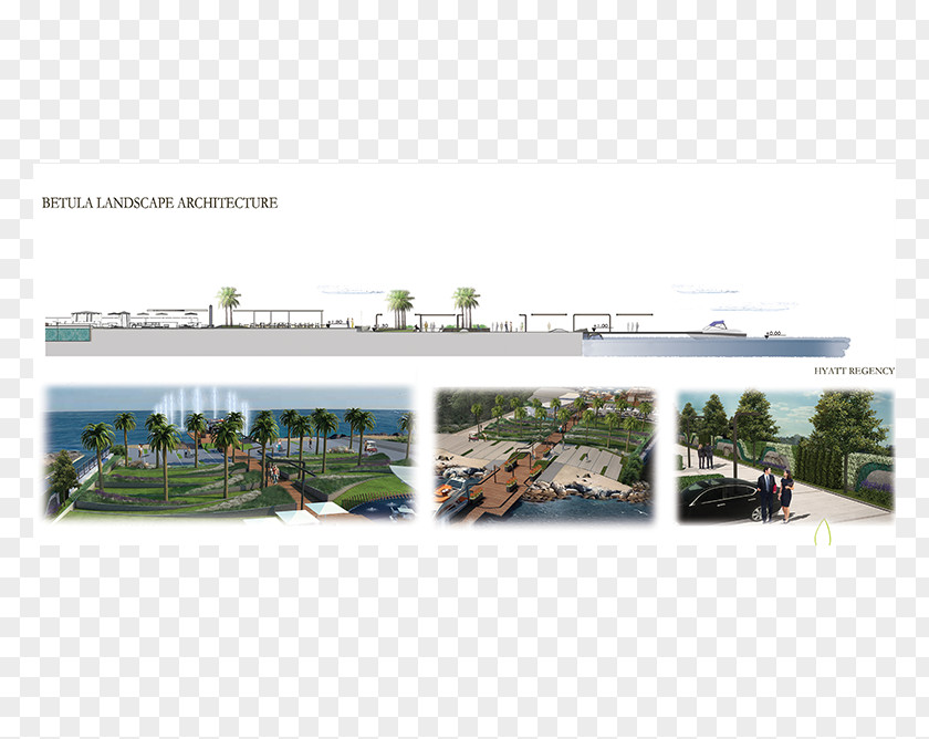 Design Urban Land Lot Real Property PNG