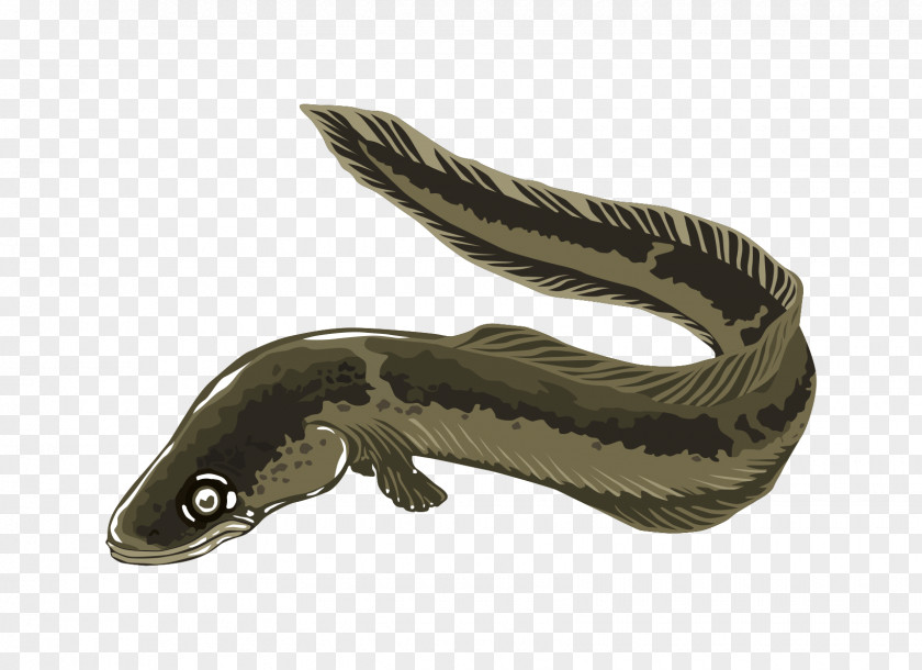 Eel Cliparts Electric Clip Art PNG