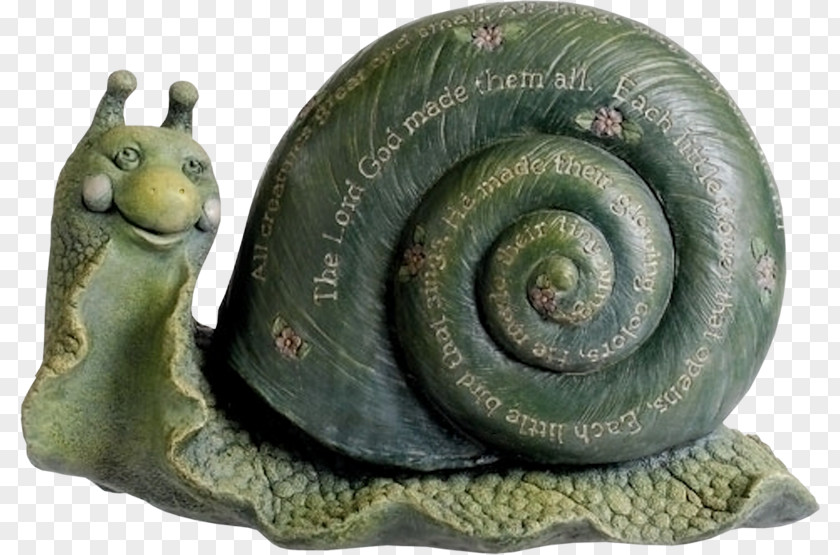 Handmade Snail Orthogastropoda Clip Art PNG