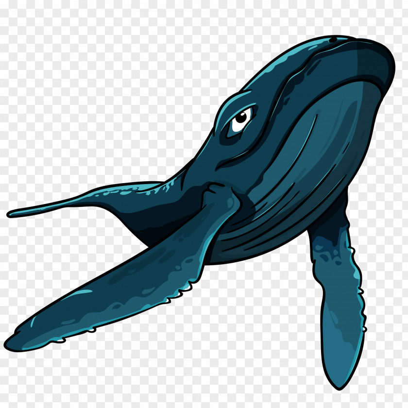 Serenity Cartoon Animated Shark Vector Graphics Blue Whale Euclidean Whales PNG