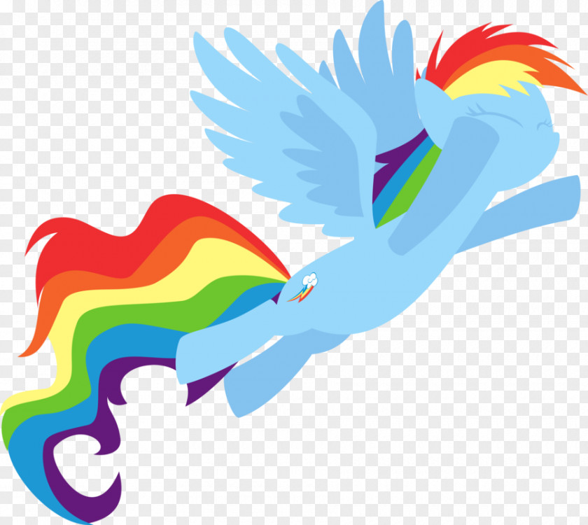 Ters Rainbow Dash Art Fluttershy Applejack Pony PNG