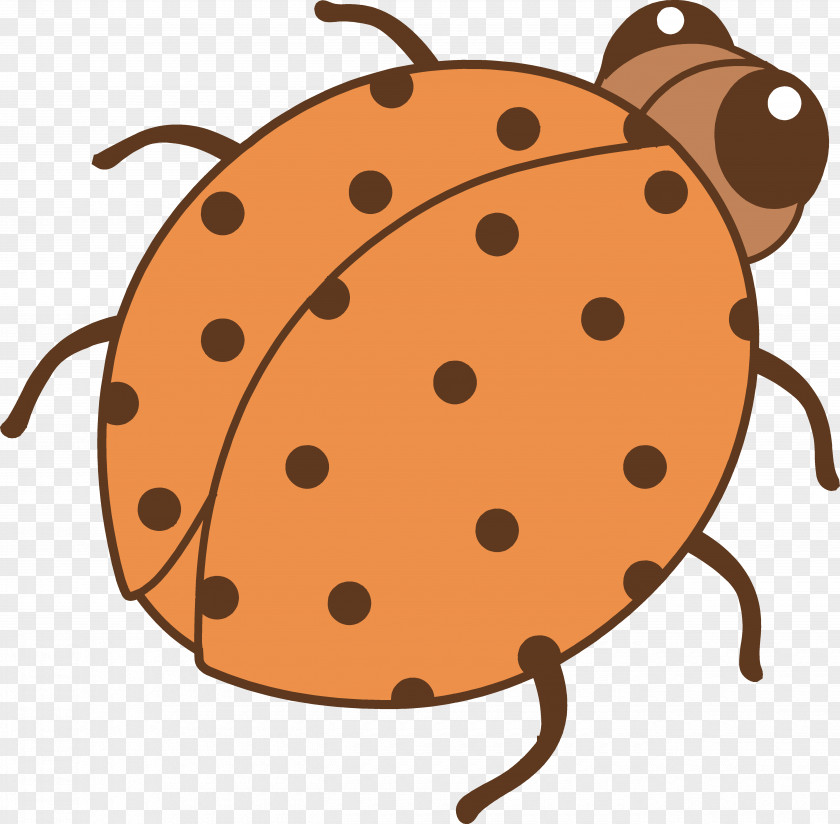 Beetle Drawing Art Clip PNG
