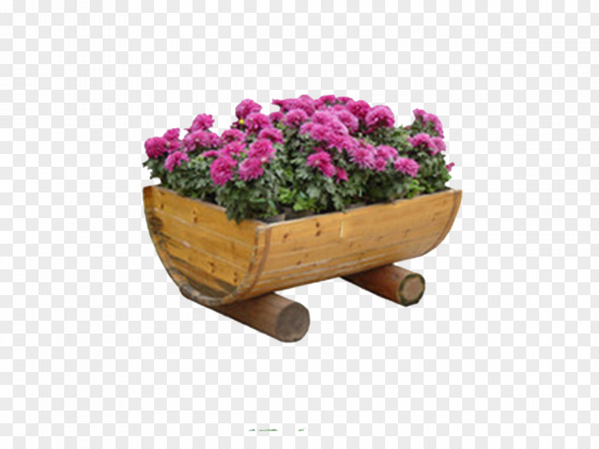 Chrysanthemum Flowerpot Plate-bande PNG