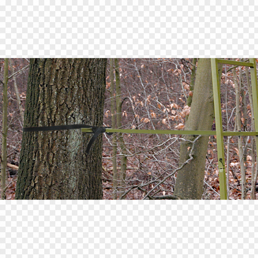 Handsaw Tree Stands Hunting Weapon Oak PNG