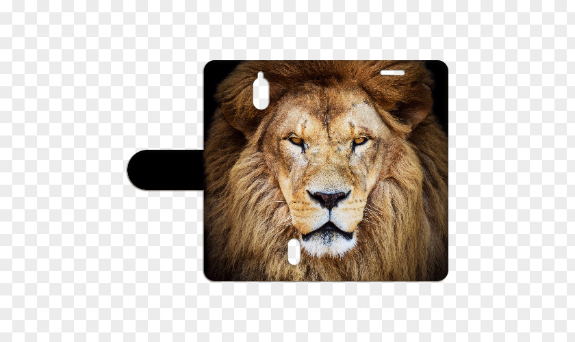 Huawei Y625 Lion Stock Photography Royalty-free Clip Art PNG